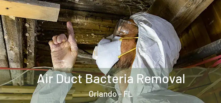  Air Duct Bacteria Removal Orlando - FL
