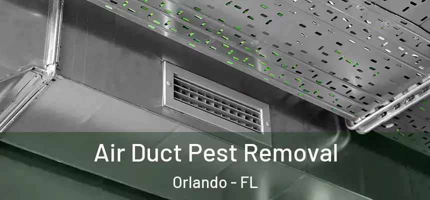  Air Duct Pest Removal Orlando - FL