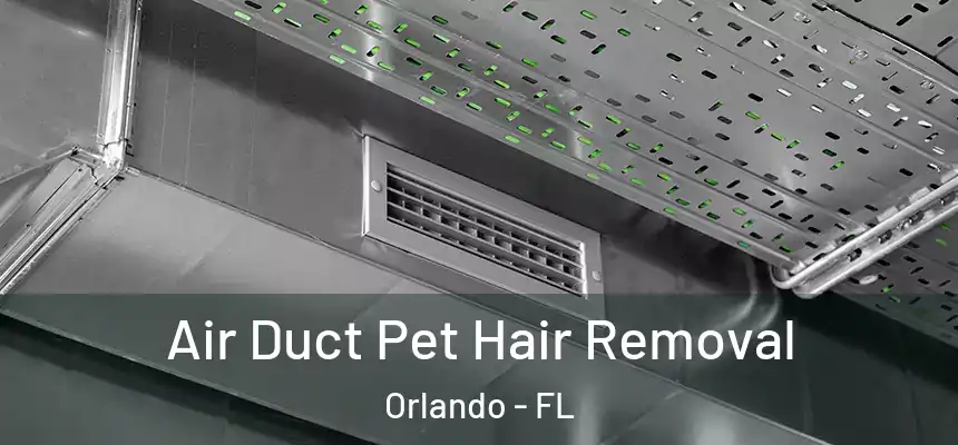  Air Duct Pet Hair Removal Orlando - FL