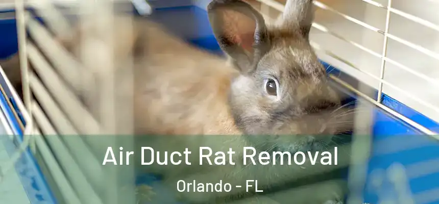  Air Duct Rat Removal Orlando - FL