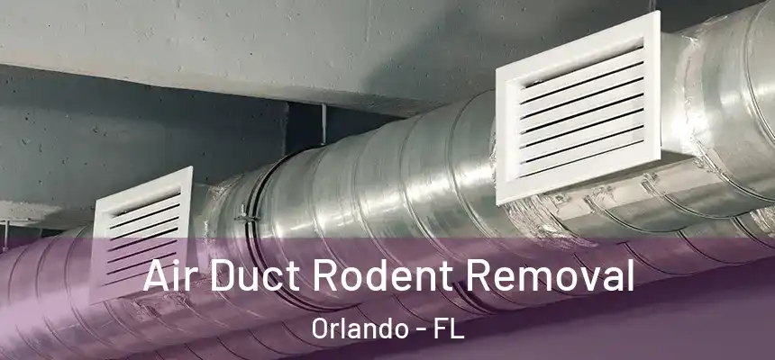  Air Duct Rodent Removal Orlando - FL