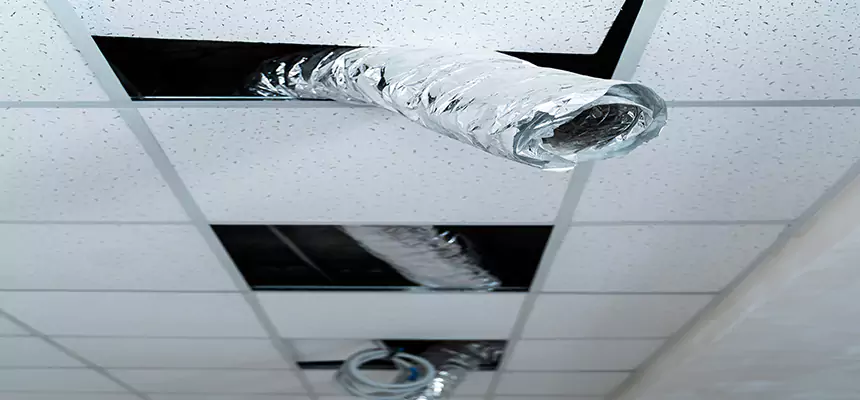 Affordable HVAC Sanitizing After Pest Removal in Orlando