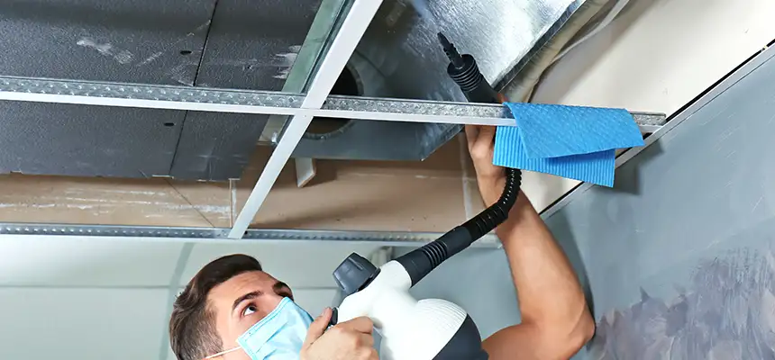 Our Air Duct Rodent Removal Services in Orlando, FL