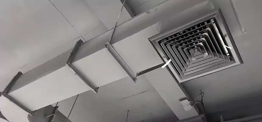 Restorative Allergy Relief Vent Cleaning – Coil, Blower & Housing Detail in Orlando