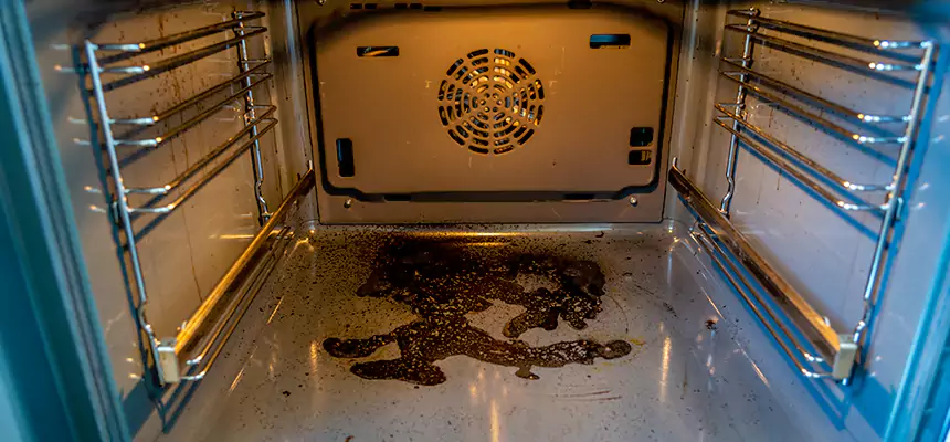 Our Dryer Vent Mold Cleaning Services in Orlando, FL