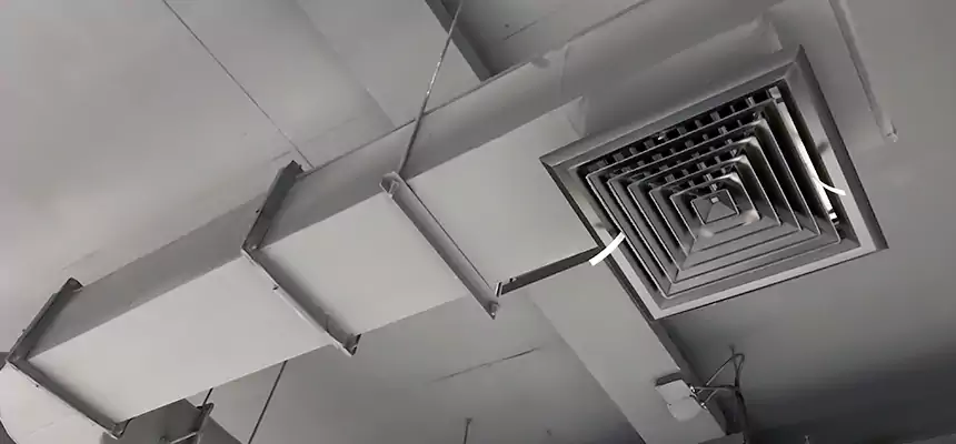 Our Pest Removal From Ducts Services in Orlando, FL