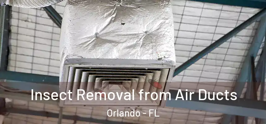  Insect Removal from Air Ducts Orlando - FL