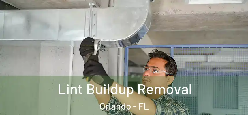Lint Buildup Removal Orlando - FL