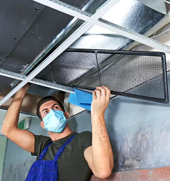 About Air Duct Bacteria Removal in Orlando