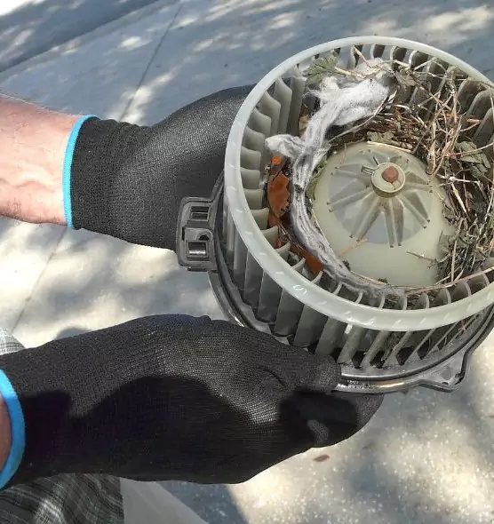 About Air Duct Mice Removal in Orlando, FL