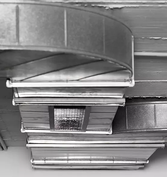 Professional Air Duct Pet Hair Removal in Orlando, FL