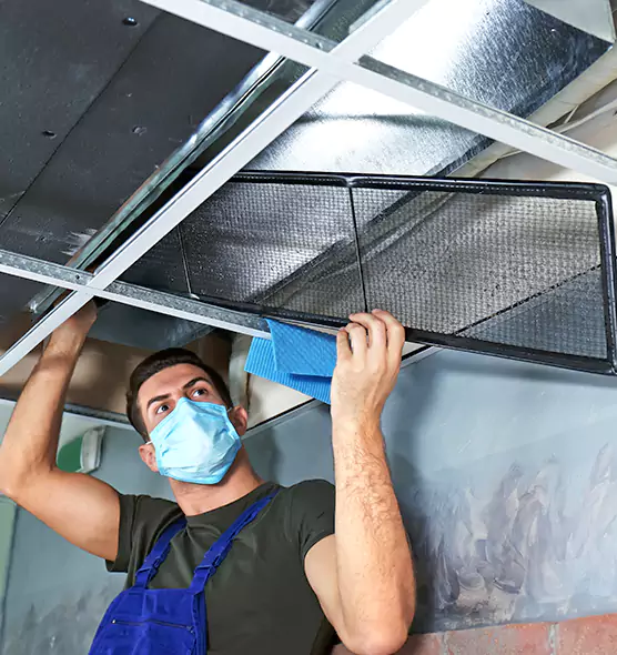 Professional Air Duct Pollen Cleaning in Orlando, FL