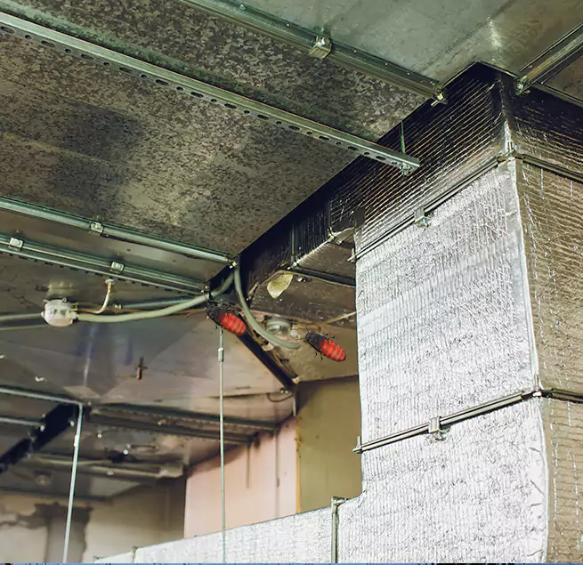 Why Homeowners & Businesses Trust Us in Orlando, FL?