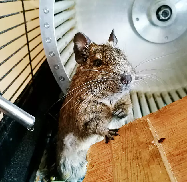 Why Homeowners & Businesses Trust Us Orlando, FL