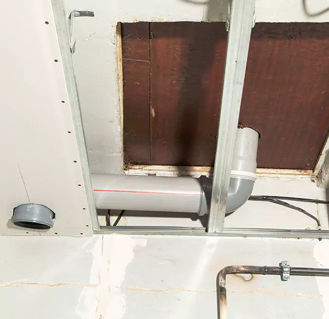 Why Homeowners & Businesses Trust Us in Orlando, FL?