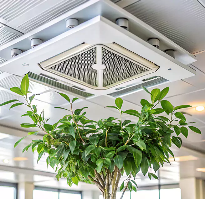 Why Homeowners & Businesses Trust Us in Orlando, FL