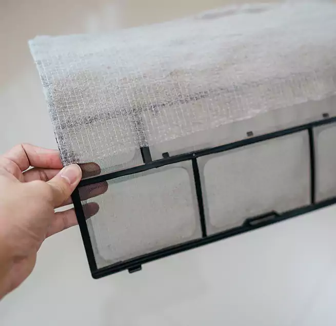 Why Homeowners & Businesses Trust Us in Orlando, FL?