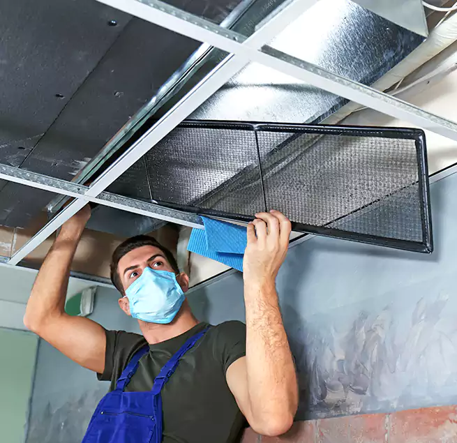 Why Homeowners Businesses Trust Us in Orlando, FL